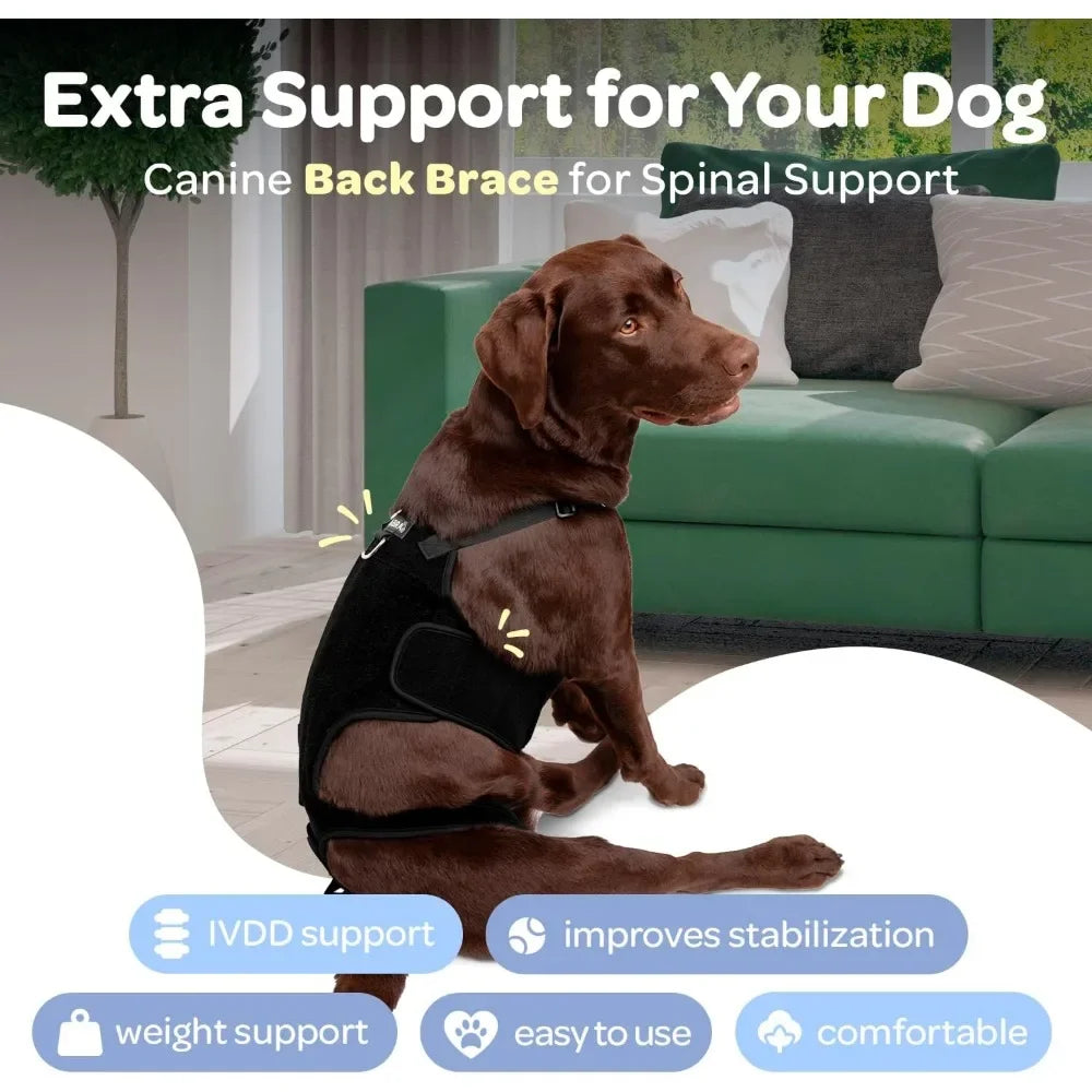 SpineGuard™ Dog Back Support Brace – Adjustable Canine Spine Support for IVDD, Arthritis & Post-Surgery Recovery
