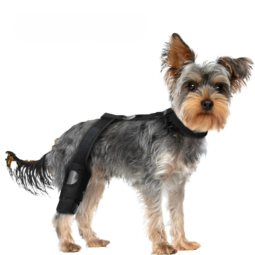 FlexiLeg™ Dog Knee Brace – Adjustable ACL & Joint Support for Recovery, Injury Relief & Post-Surgery Rehabilitation