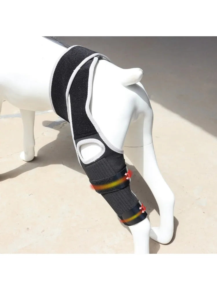 PawHeal™ Rear Leg Support Brace with Collar Strap – Adjustable Dog Knee Brace for Injury Recovery, Joint Pain & Arthritis Relief