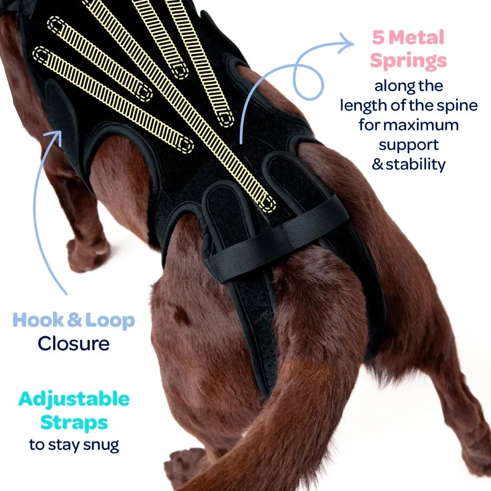 SpineGuard™ Dog Back Support Brace – Adjustable Canine Spine Support for IVDD, Arthritis & Post-Surgery Recovery