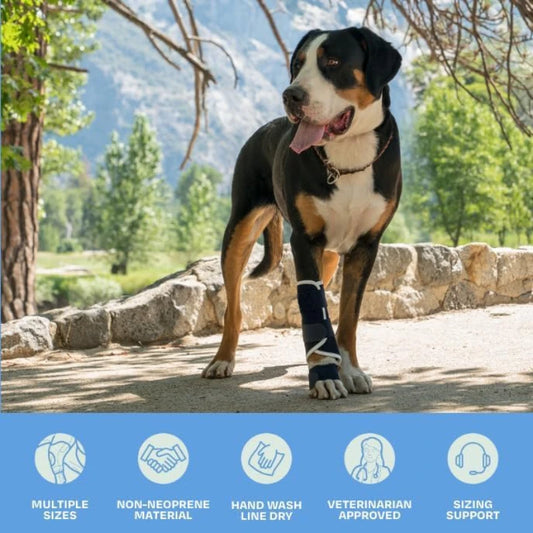 Dog Front Leg Splint Brace for Carpal Hyperextension, Sprains & Fractures – Adjustable Dog Ankle & Joint Support