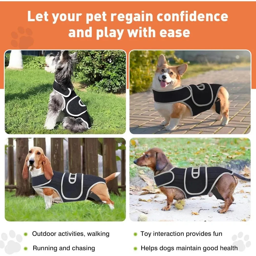 PawSpine™ Dog Back Support Brace – Full Spine & Hip Support for IVDD, Hip Dysplasia, Arthritis & Spinal Injury Recovery