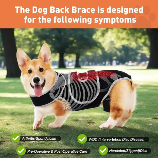PawSpine™ Dog Back Support Brace – Full Spine & Hip Support for IVDD, Hip Dysplasia, Arthritis & Spinal Injury Recovery