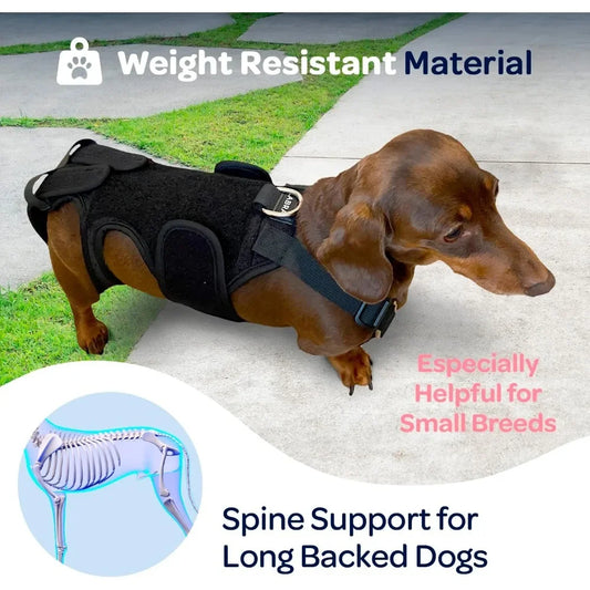 SpineGuard™ Dog Back Support Brace – Adjustable Canine Spine Support for IVDD, Arthritis & Post-Surgery Recovery