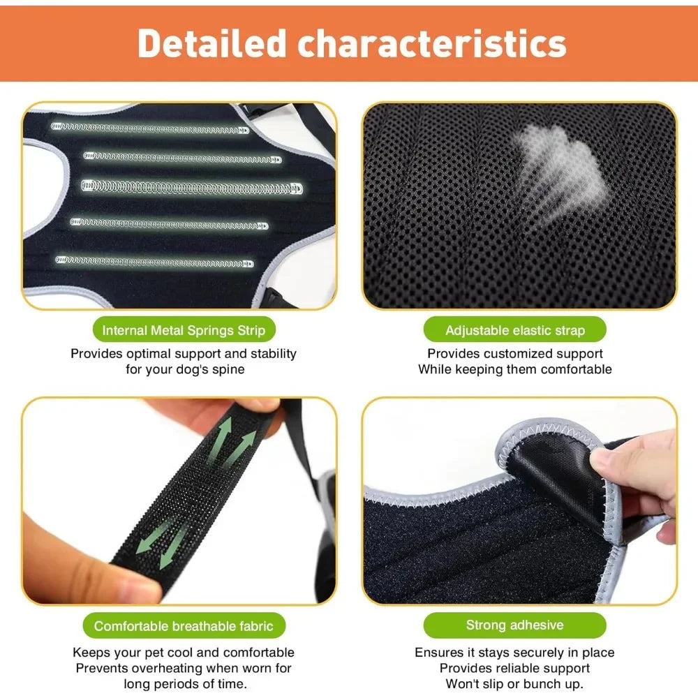 PawSpine™ Dog Back Support Brace – Full Spine & Hip Support for IVDD, Hip Dysplasia, Arthritis & Spinal Injury Recovery