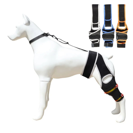 PawHeal™ Rear Leg Support Brace with Collar Strap – Adjustable Dog Knee Brace for Injury Recovery, Joint Pain & Arthritis Relief