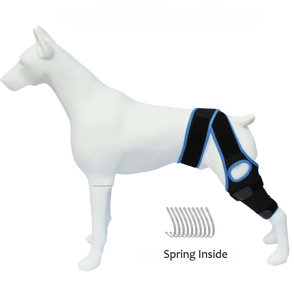 PawHeal™ Rear Leg Support Brace with Collar Strap – Adjustable Dog Knee Brace for Injury Recovery, Joint Pain & Arthritis Relief