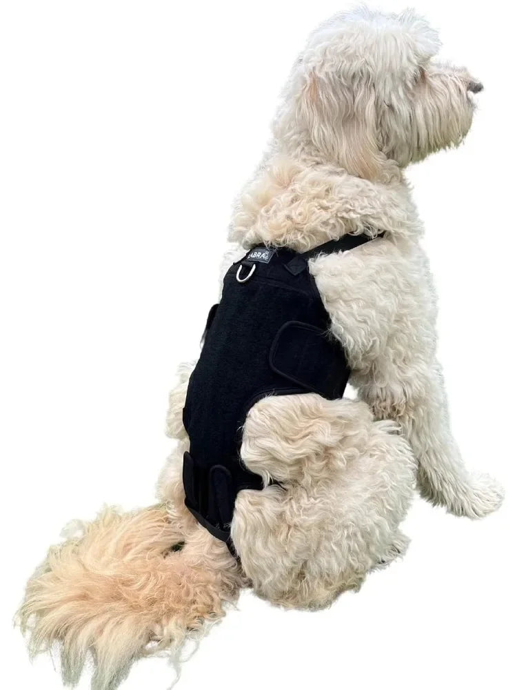 SpineGuard™ Dog Back Support Brace – Adjustable Canine Spine Support for IVDD, Arthritis & Post-Surgery Recovery