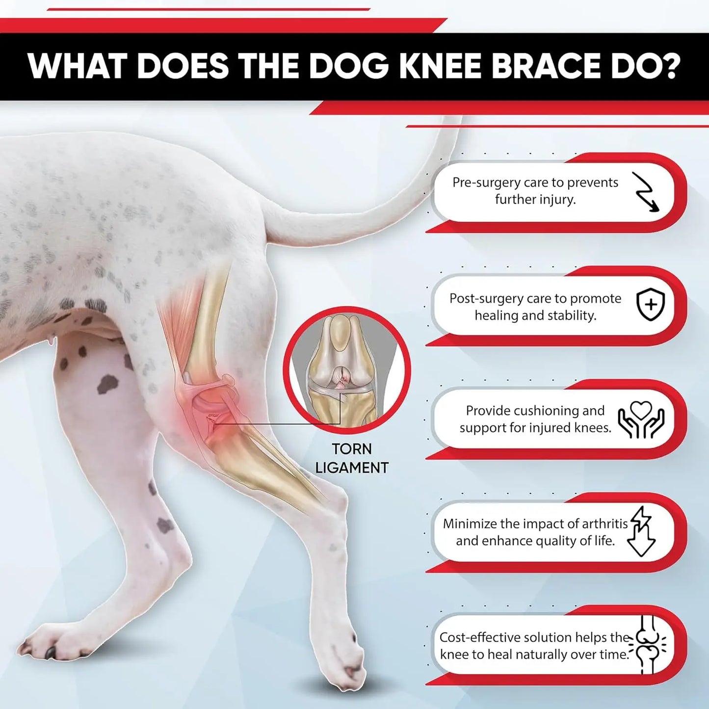 FlexiLeg™ Dog Knee Brace – Adjustable ACL & Joint Support for Recovery, Injury Relief & Post-Surgery Rehabilitation