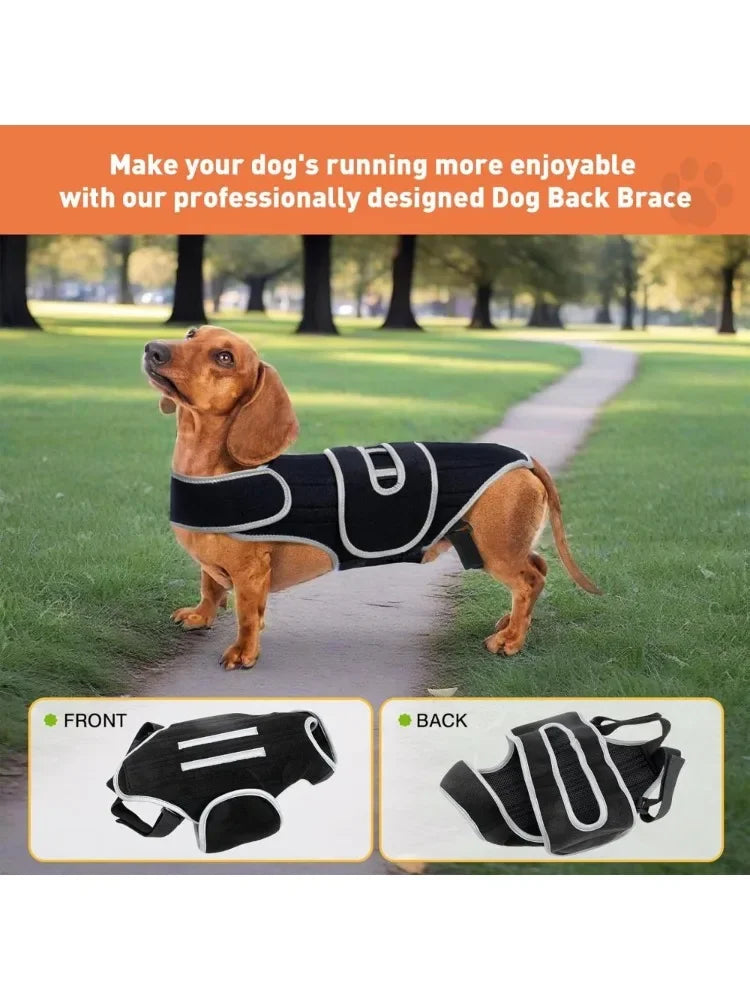 PawSpine™ Dog Back Support Brace – Full Spine & Hip Support for IVDD, Hip Dysplasia, Arthritis & Spinal Injury Recovery