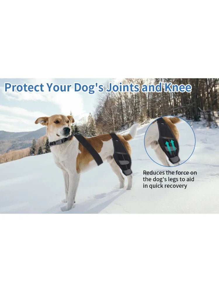 FlexiPaw™ Adjustable Dog ACL Knee Brace – Hind Leg Support for Ligament Recovery, Arthritis & Joint Pain Relief