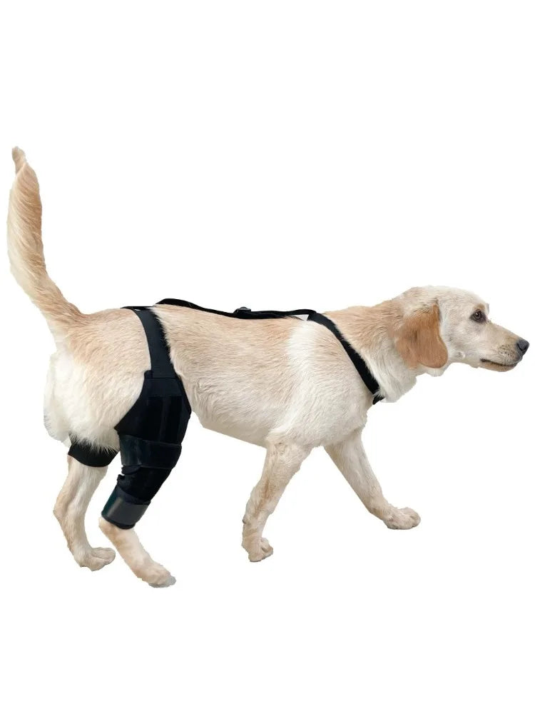 FlexiLeg™ Dog Knee Brace – Adjustable ACL & Joint Support for Recovery, Injury Relief & Post-Surgery Rehabilitation