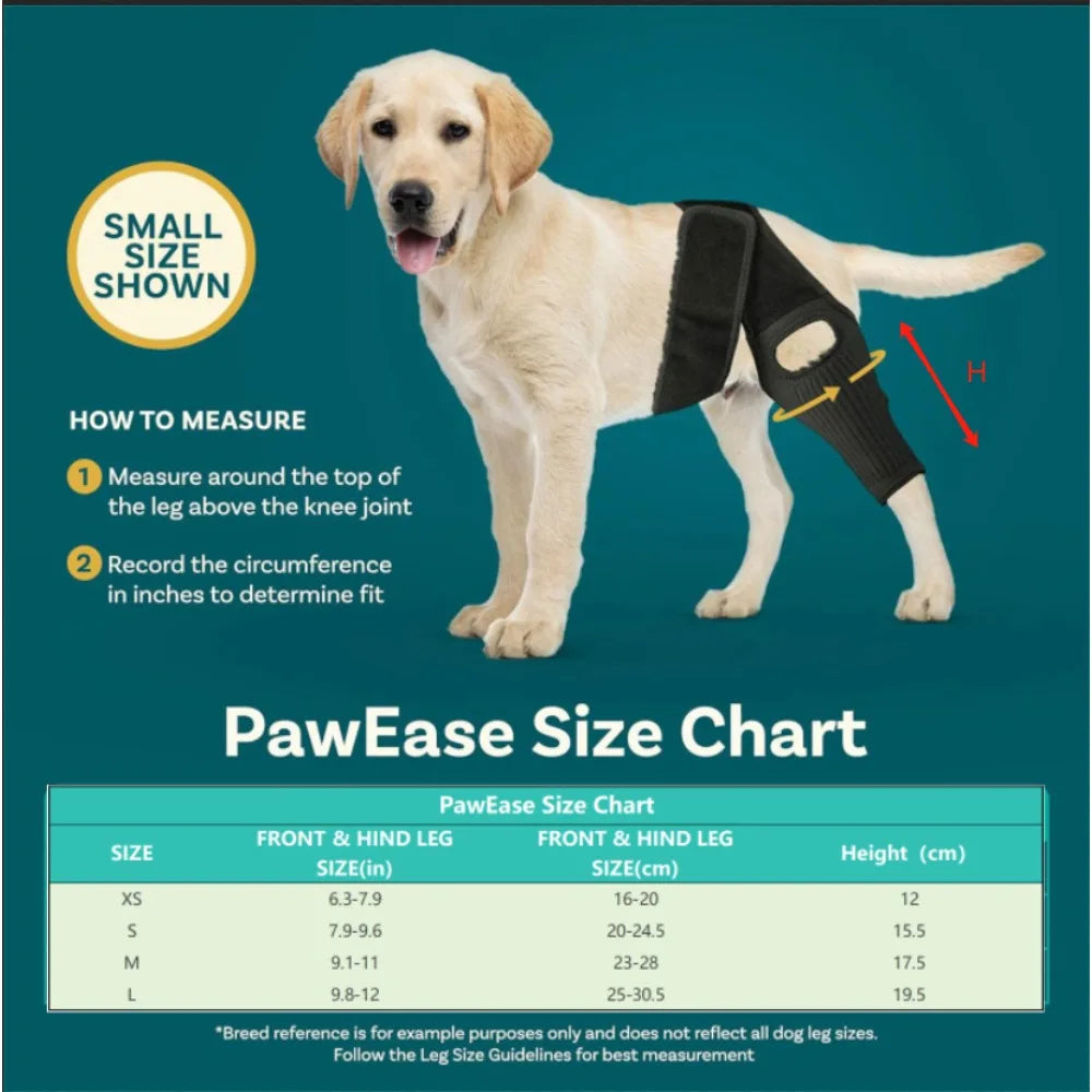 PawHeal™ Rear Leg Support Brace with Collar Strap – Adjustable Dog Knee Brace for Injury Recovery, Joint Pain & Arthritis Relief