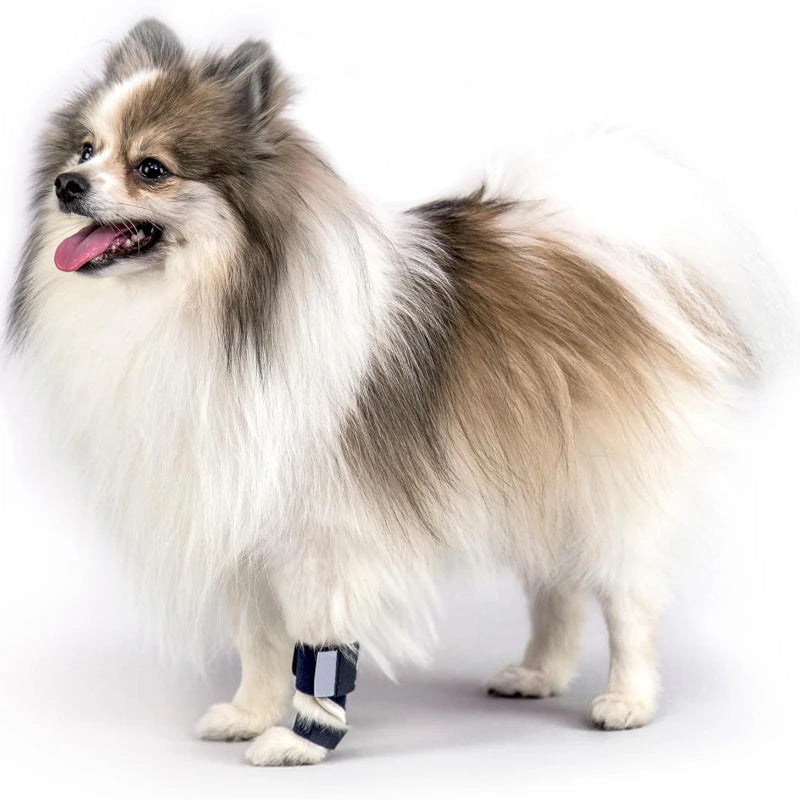Dog Front Leg Splint Brace for Carpal Hyperextension, Sprains & Fractures – Adjustable Dog Ankle & Joint Support