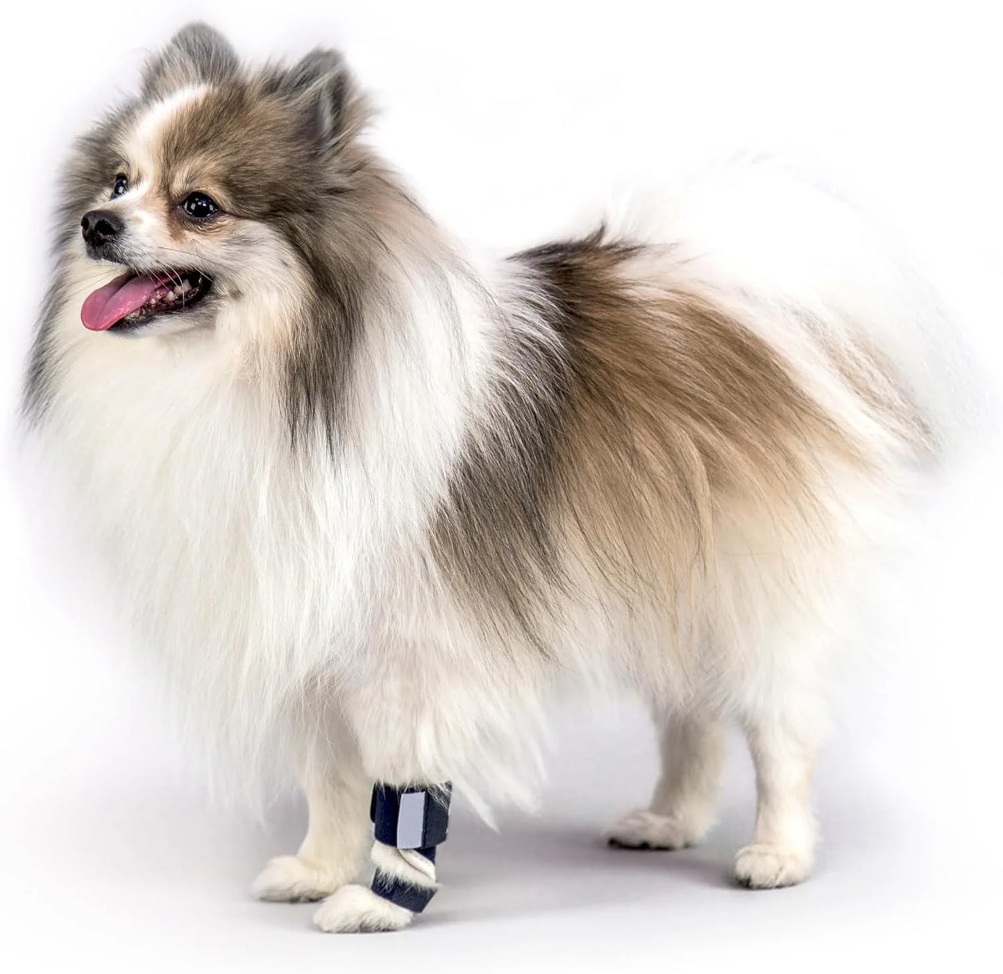Dog Front Leg Splint Brace for Carpal Hyperextension, Sprains & Fractures – Adjustable Dog Ankle & Joint Support