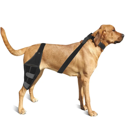 FlexiPaw™ Adjustable Dog ACL Knee Brace – Hind Leg Support for Ligament Recovery, Arthritis & Joint Pain Relief