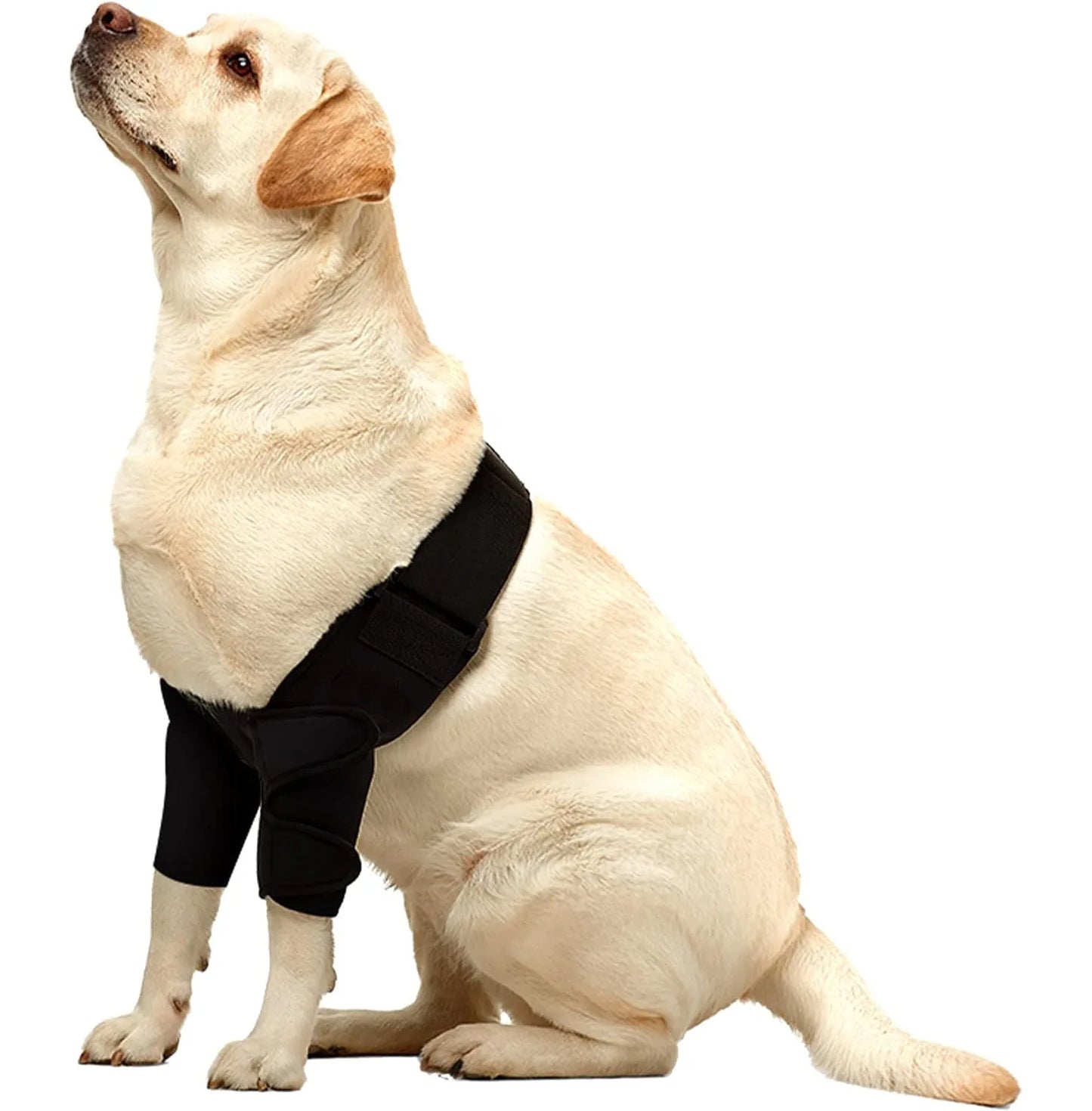 PawFlex™ Full Dog Elbow & Shoulder Brace – Front Leg Support for Ligament Tears, Elbow Hygroma, Arthritis & Post-Surgery Recovery