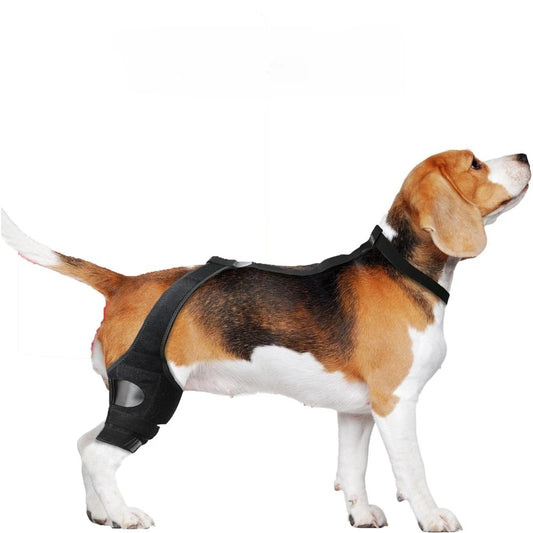 FlexiLeg™ Dog Knee Brace – Adjustable ACL & Joint Support for Recovery, Injury Relief & Post-Surgery Rehabilitation
