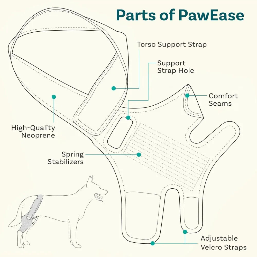 PawHeal™ Rear Leg Support Brace with Collar Strap – Adjustable Dog Knee Brace for Injury Recovery, Joint Pain & Arthritis Relief
