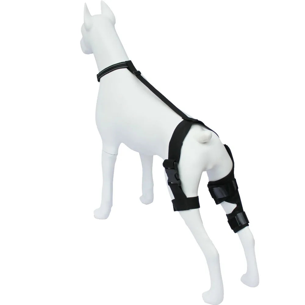 FlexiLeg™ Dog Knee Brace – Adjustable ACL & Joint Support for Recovery, Injury Relief & Post-Surgery Rehabilitation