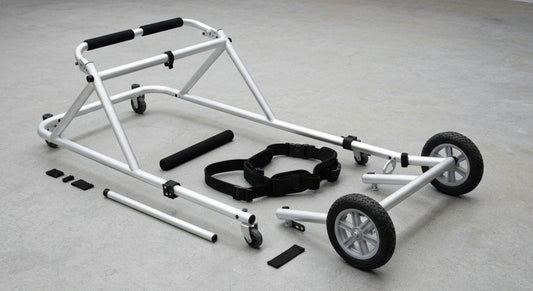 A Comprehensive Guide to Dog Mobility Cart Options