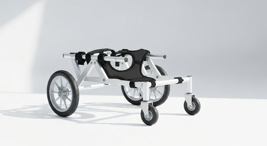 I Researched Dog Wheelchairs for 40 Hours. Here's What Matters.