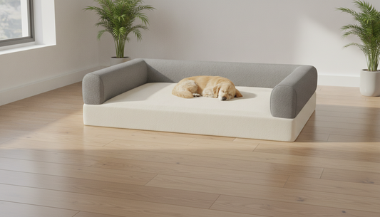 Most Dog Joint 'Treatments' Fail. This Is What Actually Works.