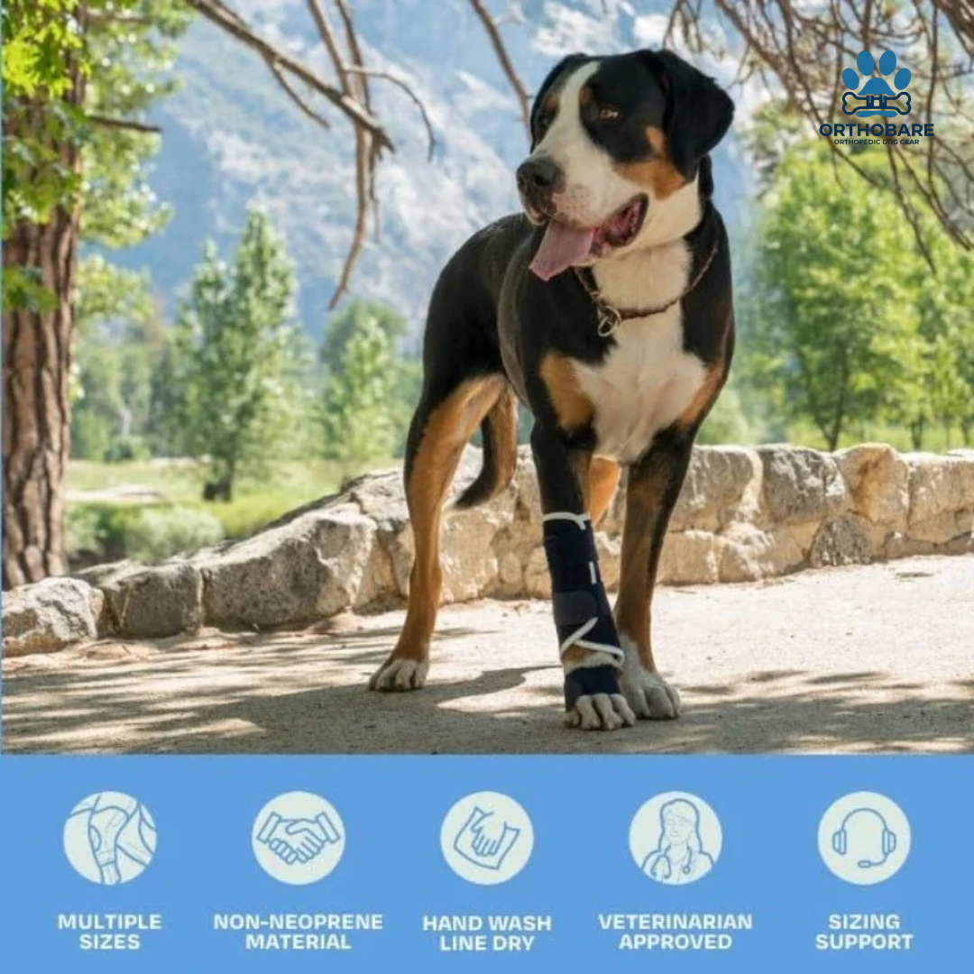 Dog Front Leg Splint Brace for Carpal Hyperextension, Sprains & Fractures – Adjustable Dog Ankle & Joint Support
