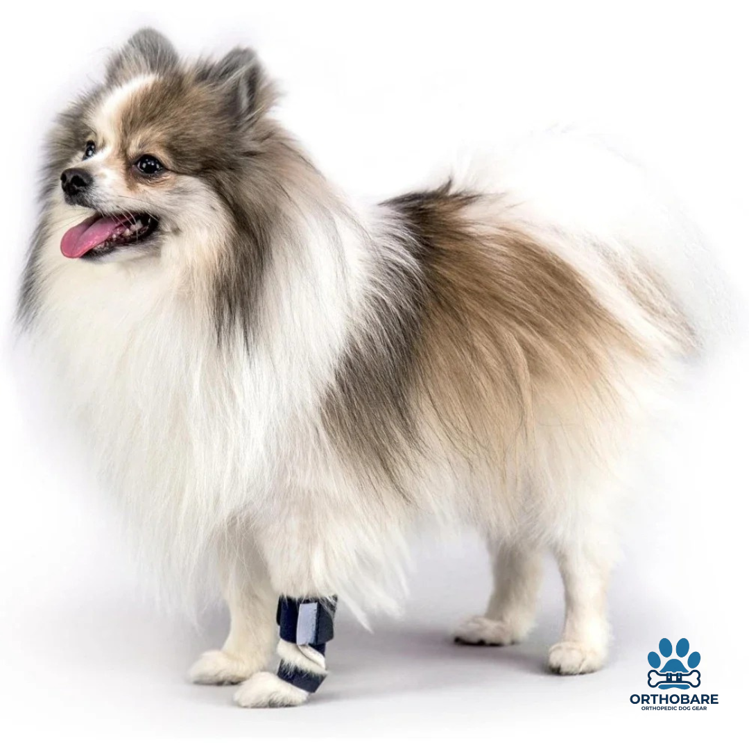 Dog Front Leg Splint Brace for Carpal Hyperextension, Sprains & Fractures – Adjustable Dog Ankle & Joint Support