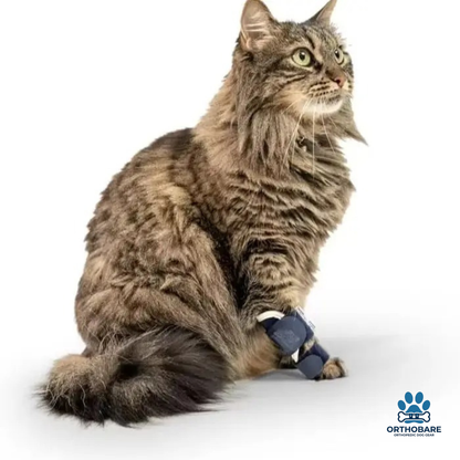 Dog Front Leg Splint Brace for Carpal Hyperextension, Sprains & Fractures – Adjustable Dog Ankle & Joint Support