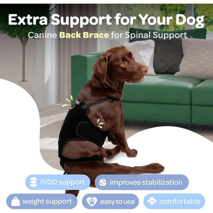 SpineGuard™ Dog Back Support Brace – Adjustable Canine Spine Support for IVDD, Arthritis & Post-Surgery Recovery
