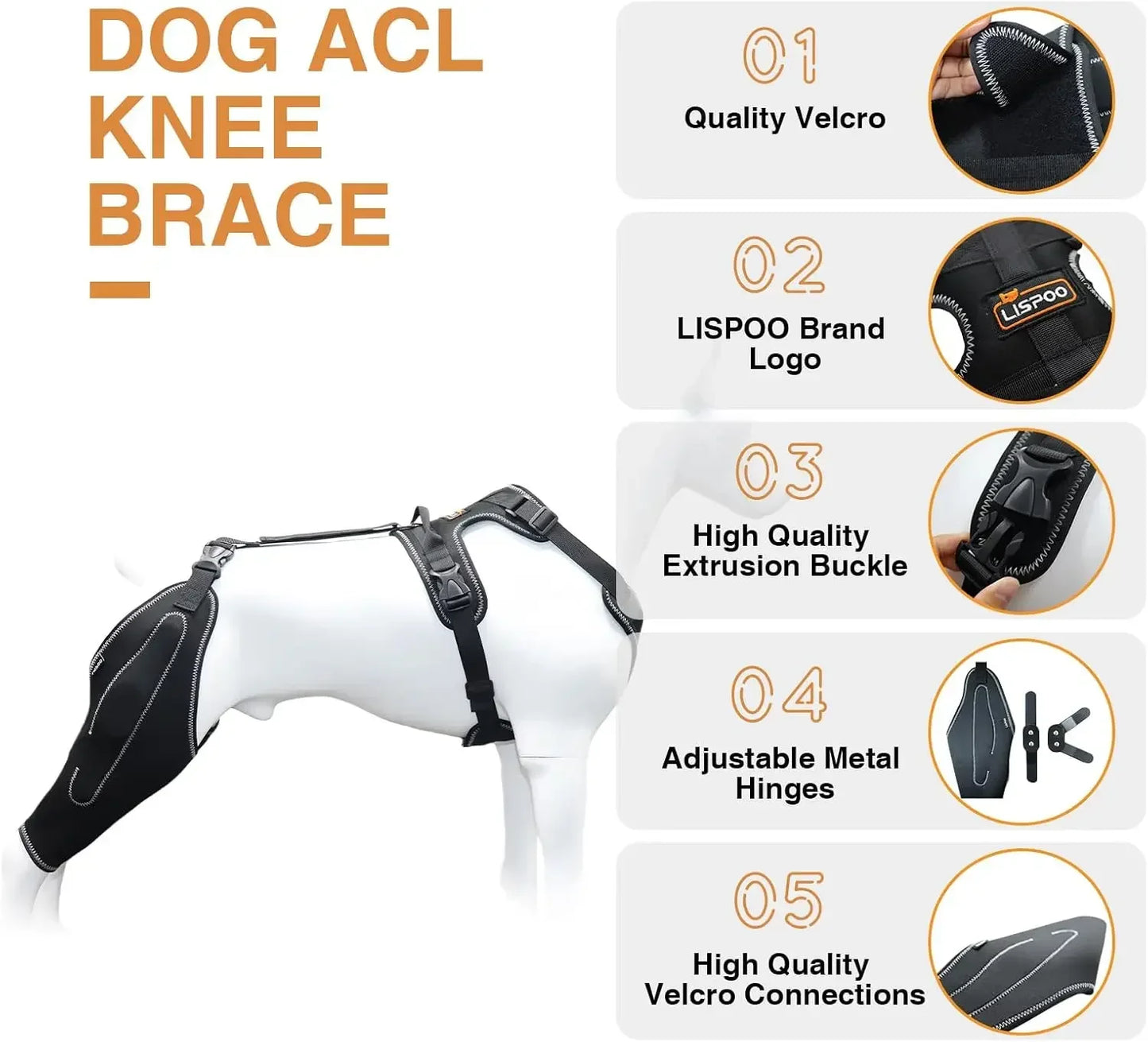 Dog ACL Knee Brace – Adjustable Hinged Back Leg Support for Torn ACL, Patellar Dislocation & Joint Pain Relief