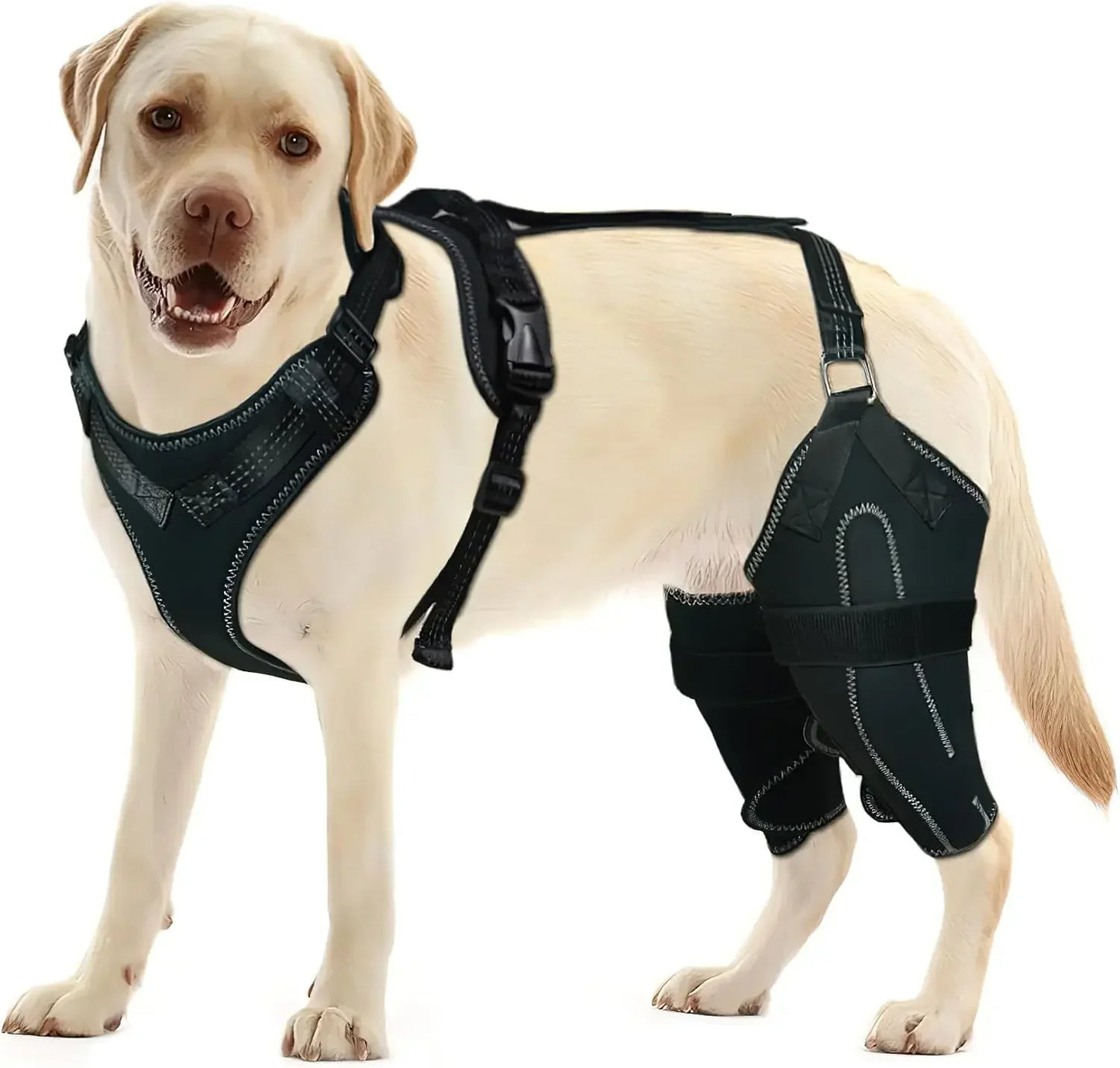 Dog ACL Knee Brace – Adjustable Hinged Back Leg Support for Torn ACL, Patellar Dislocation & Joint Pain Relief