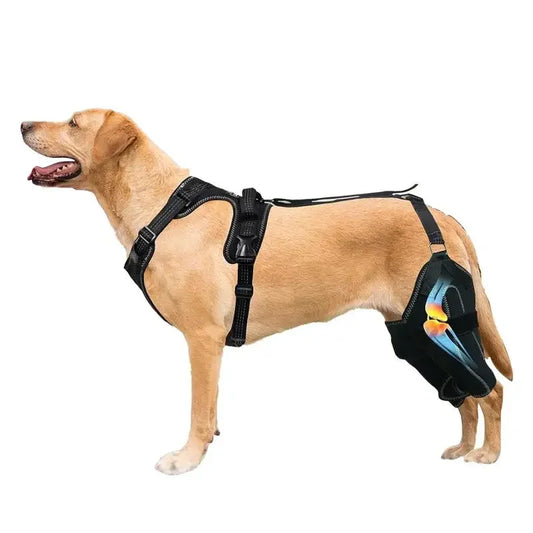 Dog ACL Knee Brace – Adjustable Hinged Back Leg Support for Torn ACL, Patellar Dislocation & Joint Pain Relief