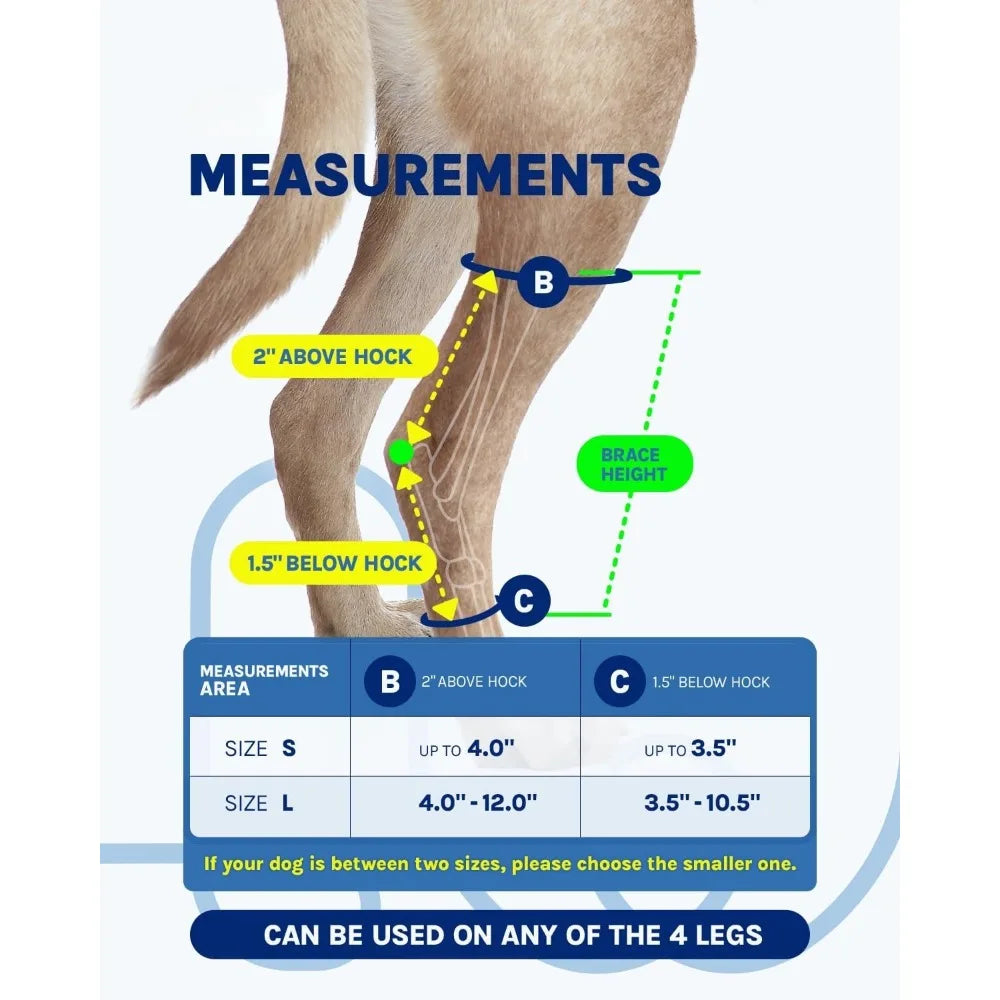 HockHero™ Dog Rear Leg Brace – Adjustable Hock & Ankle Support for ACL/CCL Tears, Arthritis & Injury Recovery