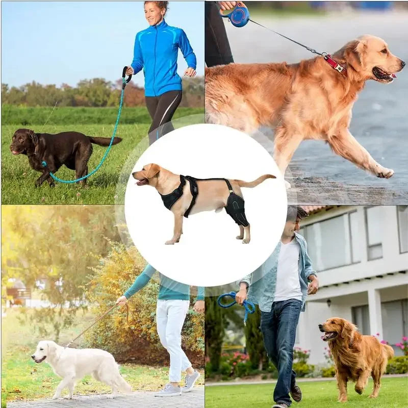 Dog ACL Knee Brace – Adjustable Hinged Back Leg Support for Torn ACL, Patellar Dislocation & Joint Pain Relief
