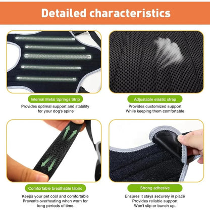 PawSpine™ Dog Back Support Brace – Full Spine & Hip Support for IVDD, Hip Dysplasia, Arthritis & Spinal Injury Recovery
