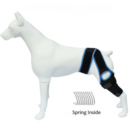 PawHeal™ Rear Leg Support Brace with Collar Strap – Adjustable Dog Knee Brace for Injury Recovery, Joint Pain & Arthritis Relief