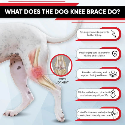 FlexiLeg™ Dog Knee Brace – Adjustable ACL & Joint Support for Recovery, Injury Relief & Post-Surgery Rehabilitation