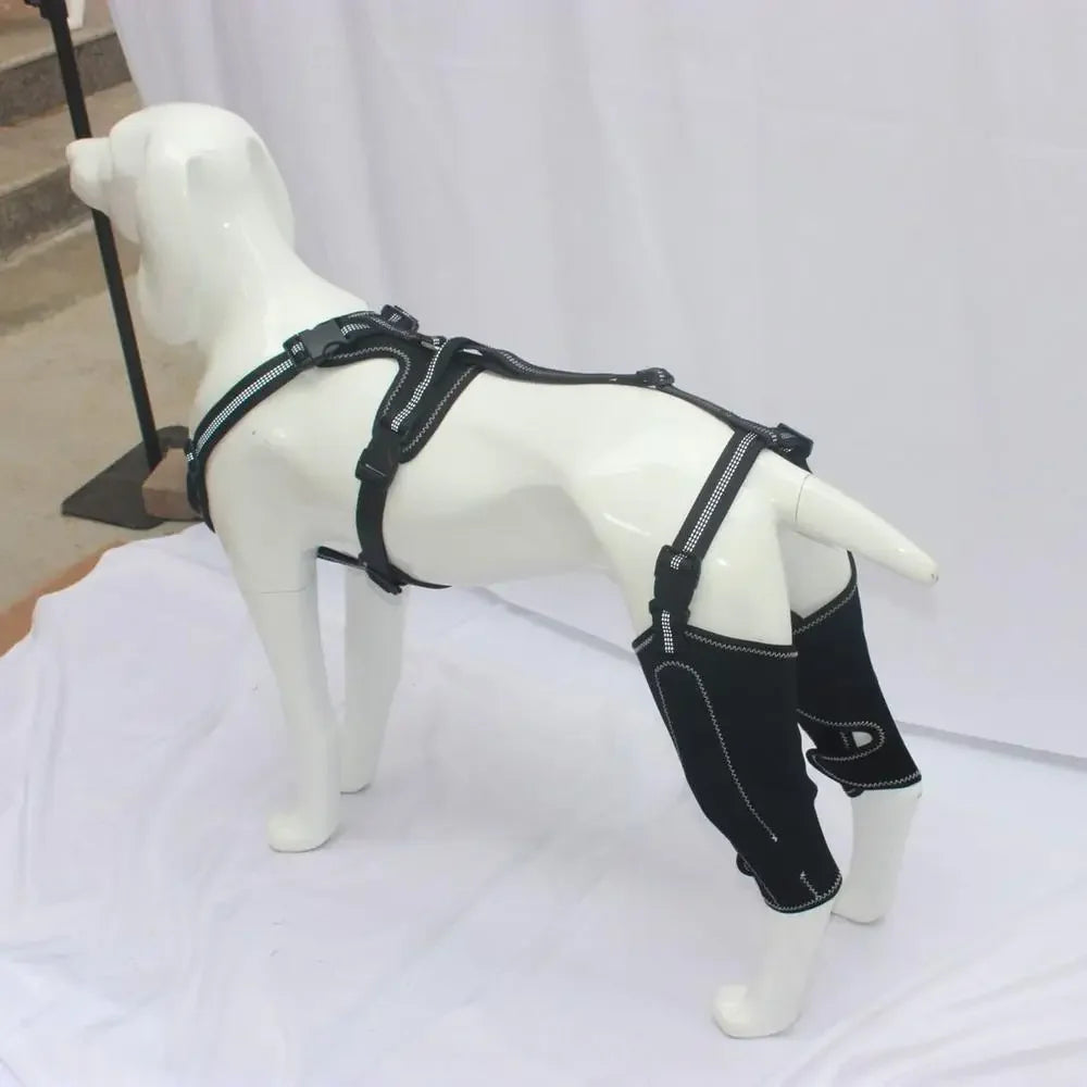 Dog ACL Knee Brace – Adjustable Hinged Back Leg Support for Torn ACL, Patellar Dislocation & Joint Pain Relief