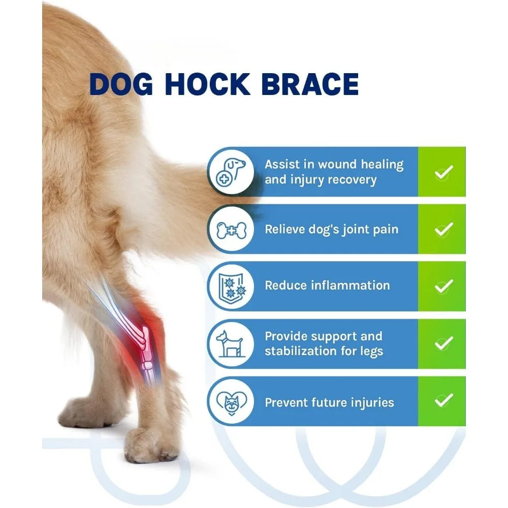 HockHero™ Dog Rear Leg Brace – Adjustable Hock & Ankle Support for ACL/CCL Tears, Arthritis & Injury Recovery