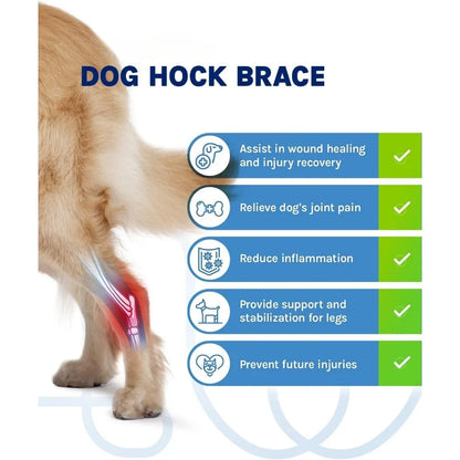 HockHero™ Dog Rear Leg Brace – Adjustable Hock & Ankle Support for ACL/CCL Tears, Arthritis & Injury Recovery