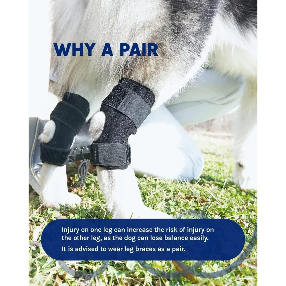 HockHero™ Dog Rear Leg Brace – Adjustable Hock & Ankle Support for ACL/CCL Tears, Arthritis & Injury Recovery