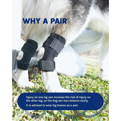 HockHero™ Dog Rear Leg Brace – Adjustable Hock & Ankle Support for ACL/CCL Tears, Arthritis & Injury Recovery