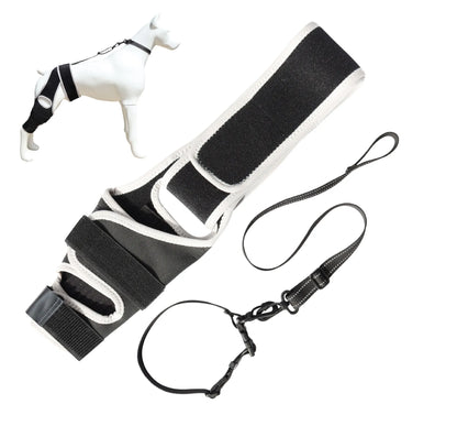 PawHeal™ Rear Leg Support Brace with Collar Strap – Adjustable Dog Knee Brace for Injury Recovery, Joint Pain & Arthritis Relief