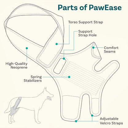 PawHeal™ Rear Leg Support Brace with Collar Strap – Adjustable Dog Knee Brace for Injury Recovery, Joint Pain & Arthritis Relief