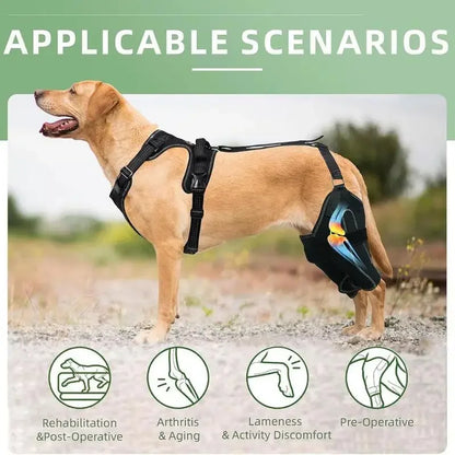 Dog ACL Knee Brace – Adjustable Hinged Back Leg Support for Torn ACL, Patellar Dislocation & Joint Pain Relief