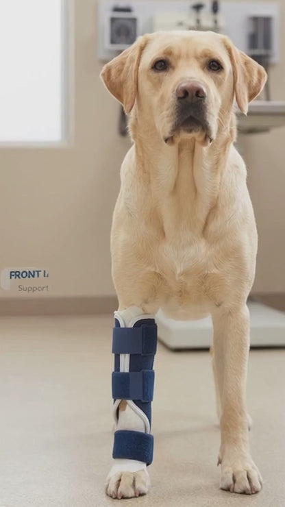 Dog Front Leg Splint Brace for Carpal Hyperextension, Sprains & Fractures – Adjustable Dog Ankle & Joint Support